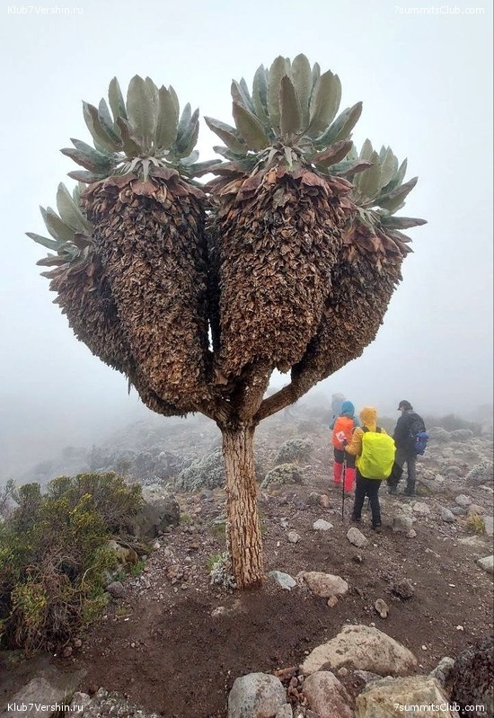 ������������ 2022 - 2023. ���������� ������, ���� 38