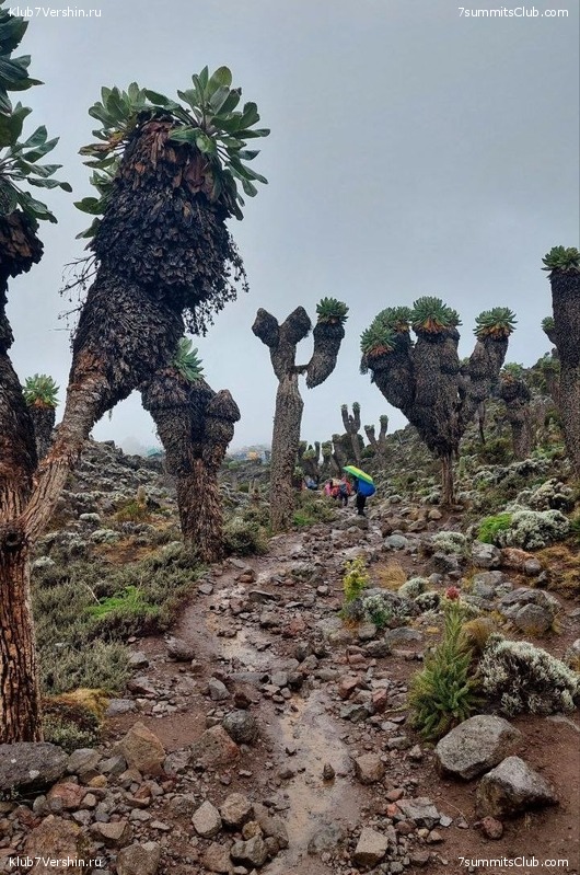 ������������ 2022 - 2023. ���������� ������, ���� 40