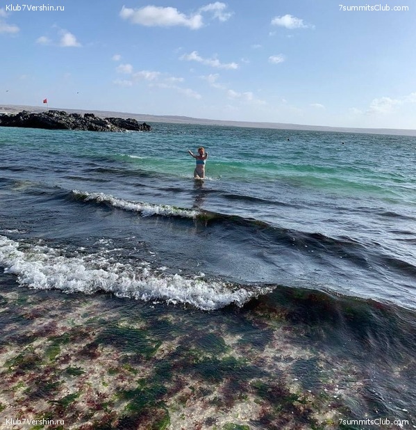   .  2023. 1-    ,  126