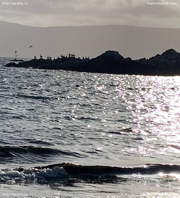 ���� ���� ������. ������ 2023. 1-� ������  ��������� �������, ���� 133