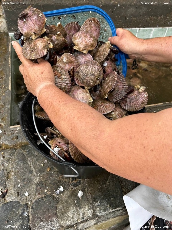 ���� ���� ������. ������ 2023. 1-� ������  ��������� �������, ���� 170