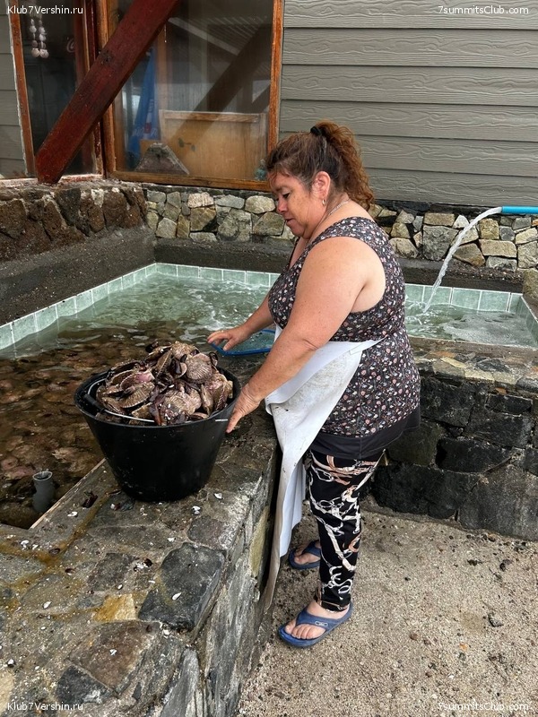 ���� ���� ������. ������ 2023. 1-� ������  ��������� �������, ���� 171