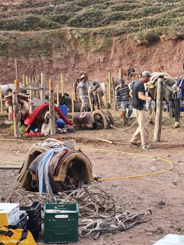  2022 - 2023.   . ,  56