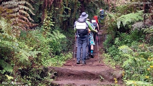 ������������ 2023. ������ �. �������, ���� 3