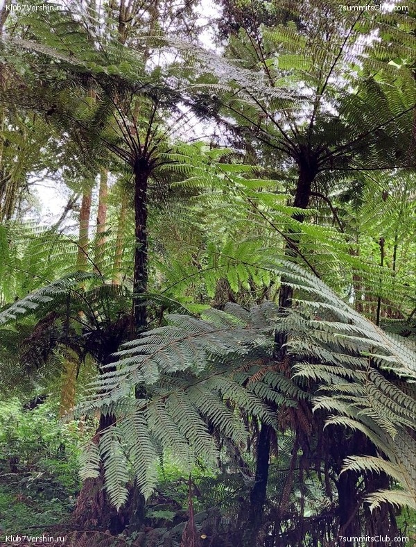 ������������ 2023. ������ �. �������, ���� 94