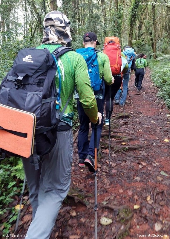 ������������ 2023. ������ �. �������, ���� 131