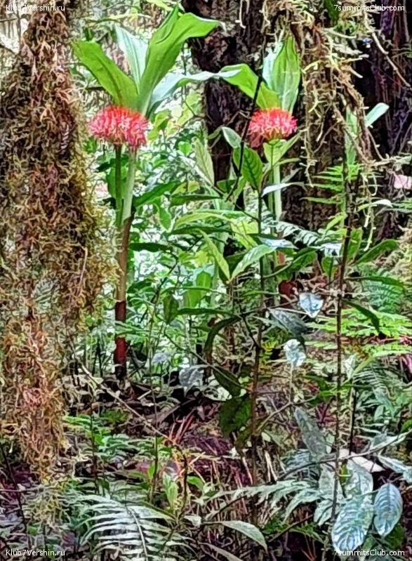 ������������ 2023. ������ �. �������, ���� 115