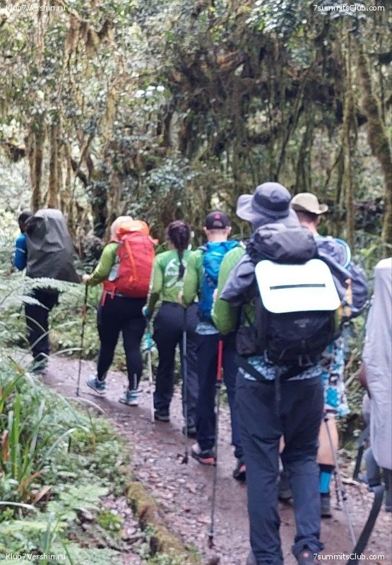 ������������ 2023. ������ �. �������, ���� 138