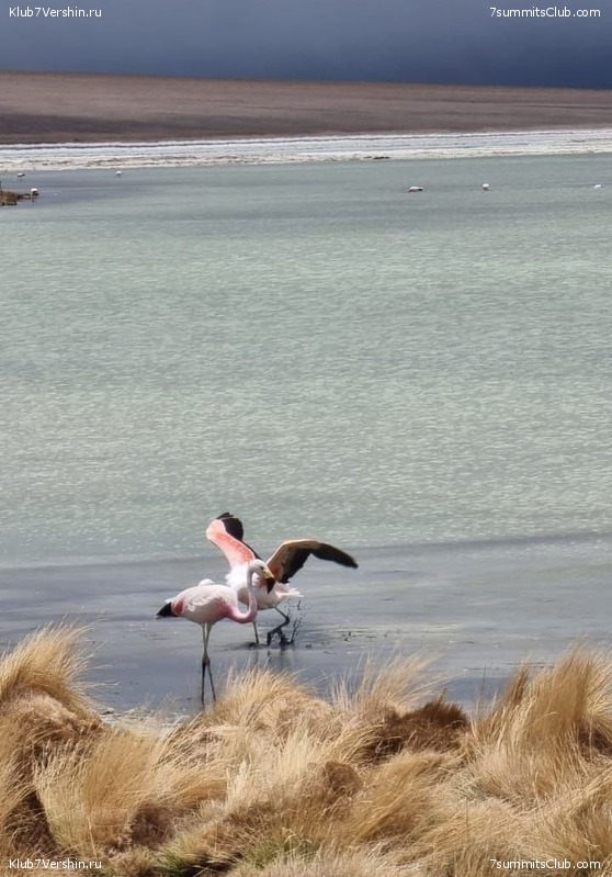   .  2023. 1-    ,  201