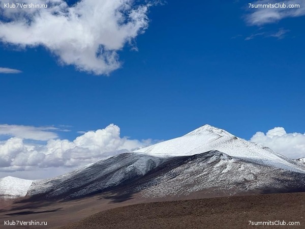   .  2023. 1-    ,  71