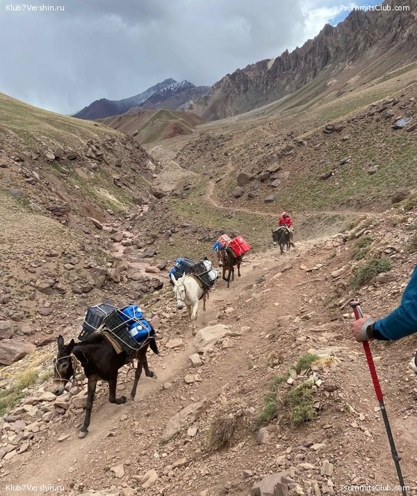  2022 - 2023.   . ,  39