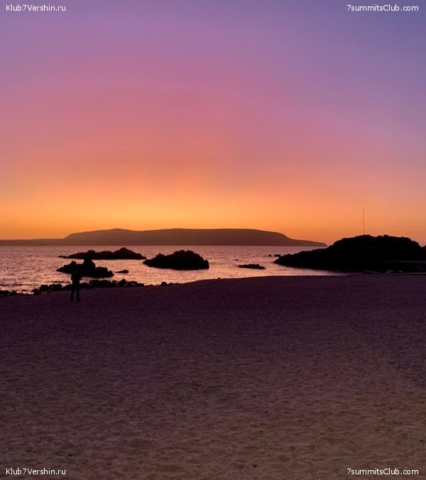 ���� ���� ������ ������ 2023. ������� ���������, ���� 81