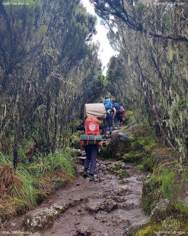 ������������ 2023. ������ �. �������, ���� 75