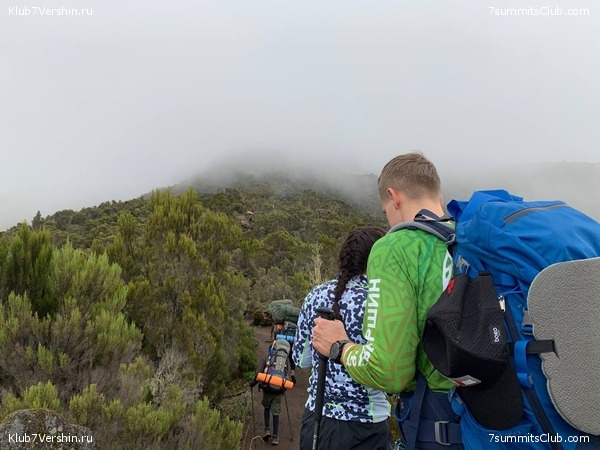 ������������ 2023. ������ �. �������, ���� 31