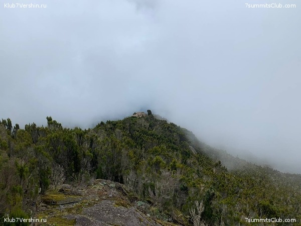 ������������ 2023. ������ �. �������, ���� 32