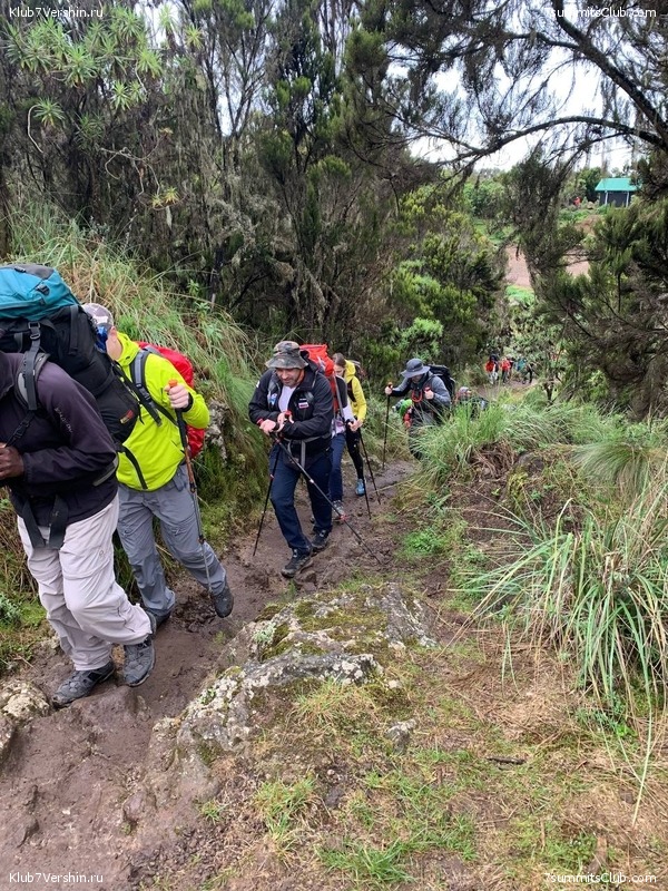 ������������ 2023. ������ �. �������, ���� 103