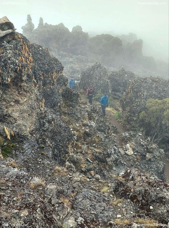 ������������ 2023. ������ �. �������, ���� 112