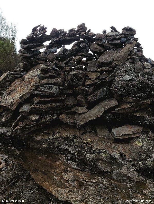 ������������ 2023. ������ �. �������, ���� 101