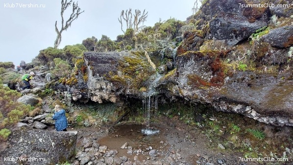 ������������ 2023. ������ �. �������, ���� 6