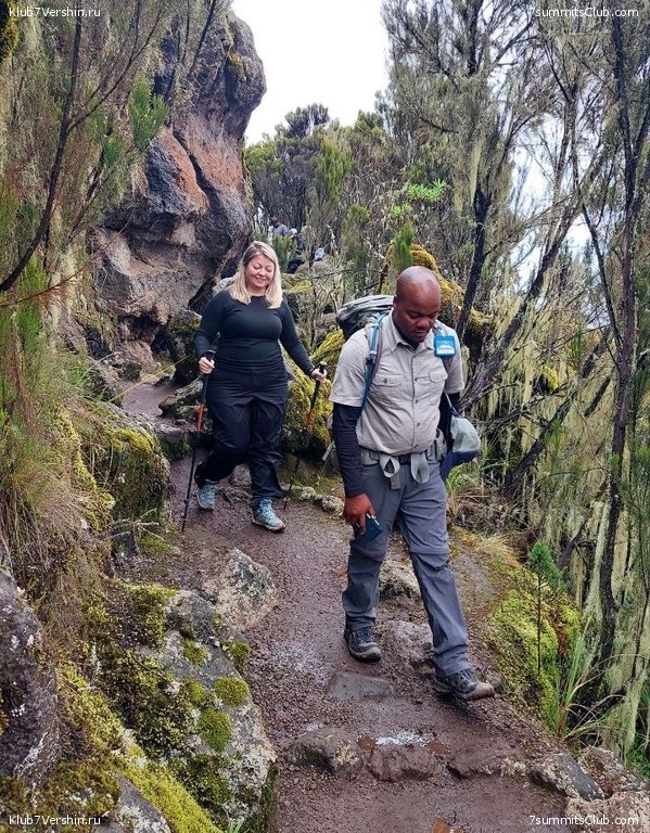 ������������ 2023. ������ �. �������, ���� 82