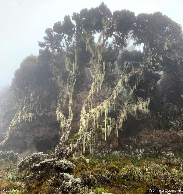 ������������ 2023. ������ �. �������, ���� 47