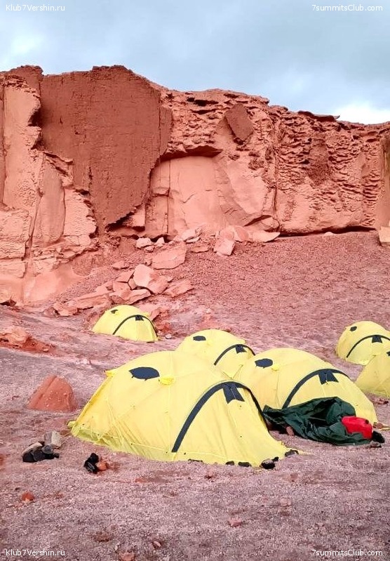   .  2023. 1-    ,  202