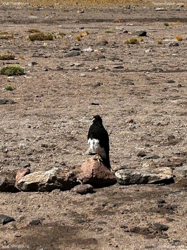 ���� ���� ������. ������ 2023. 1-� ������  ��������� �������, ���� 179