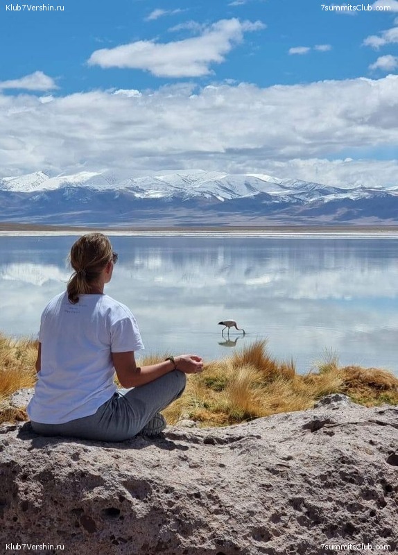   .  2023. 1-    ,  194