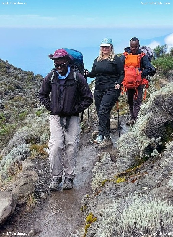 ������������ 2023. ������ �. �������, ���� 117