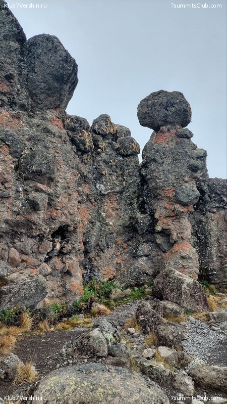 ������������ 2023. ������ �. �������, ���� 173