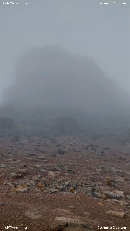 ������������ 2023. ������ �. �������, ���� 174