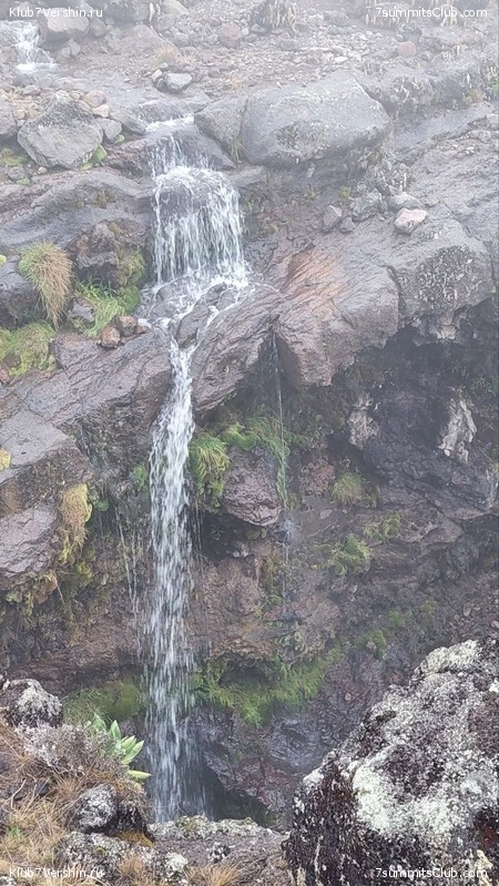 ������������ 2023. ������ �. �������, ���� 175