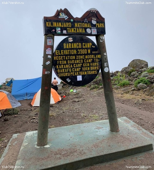 ������������ 2023. ������ �. �������, ���� 51