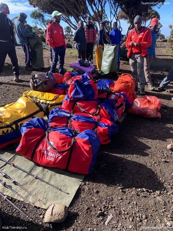 ������������ 2023. ������ �. �������, ���� 106