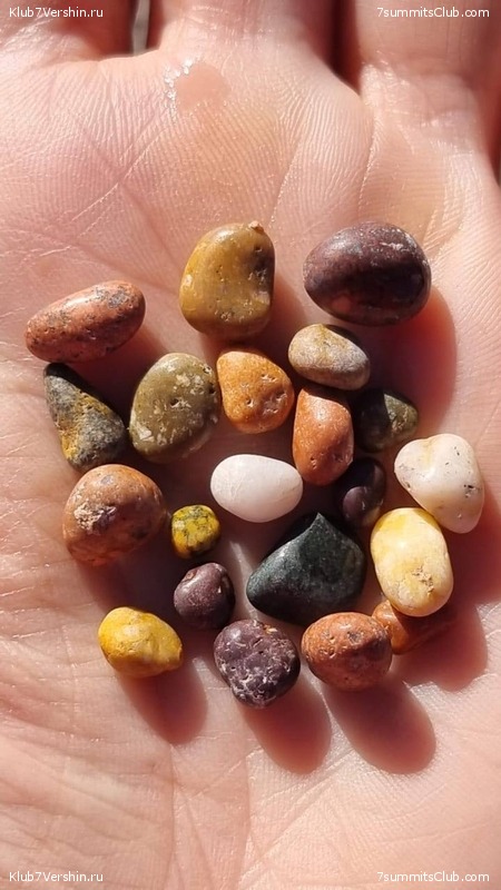 ���� ���� ������. ������ 2023. 1-� ������  ��������� �������, ���� 218