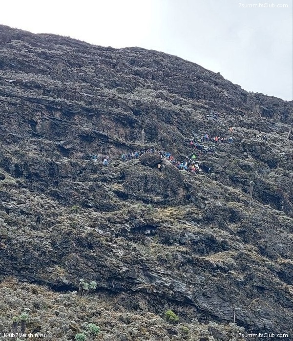 ������������ 2023. ������ �. �������, ���� 55