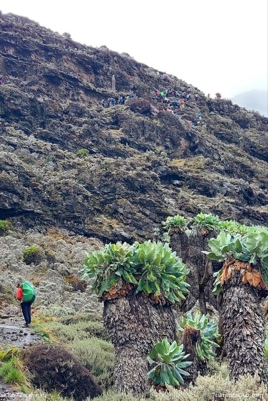 ������������ 2023. ������ �. �������, ���� 156