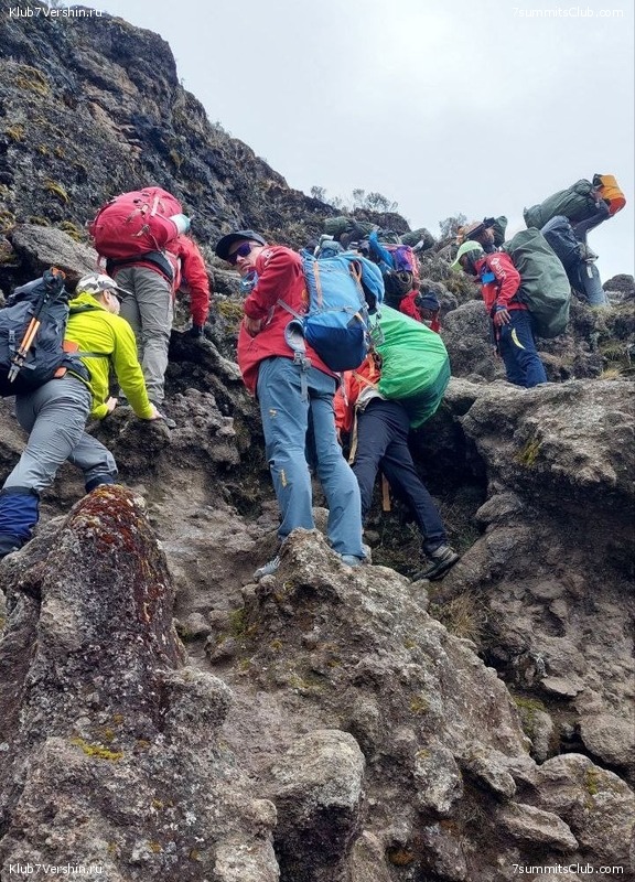 ������������ 2023. ������ �. �������, ���� 124