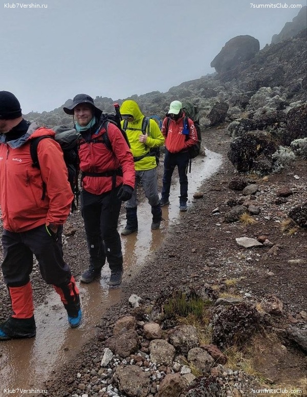 ������������ 2023. ������ �. �������, ���� 88