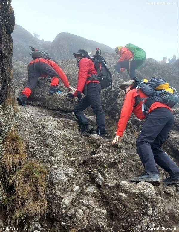 ������������ 2023. ������ �. �������, ���� 84