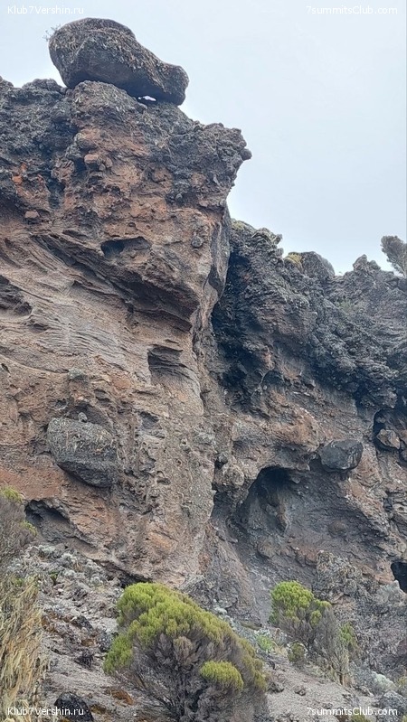 ������������ 2023. ������ �. �������, ���� 177