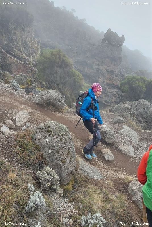 ������������ 2023. ������ �. �������, ���� 152