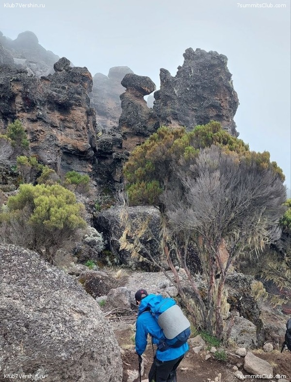 ������������ 2023. ������ �. �������, ���� 95