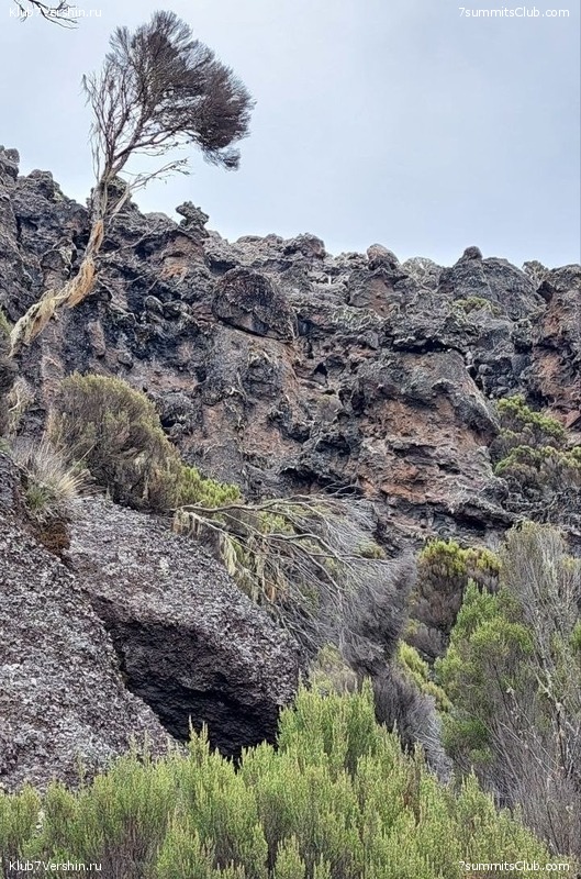 ������������ 2023. ������ �. �������, ���� 159