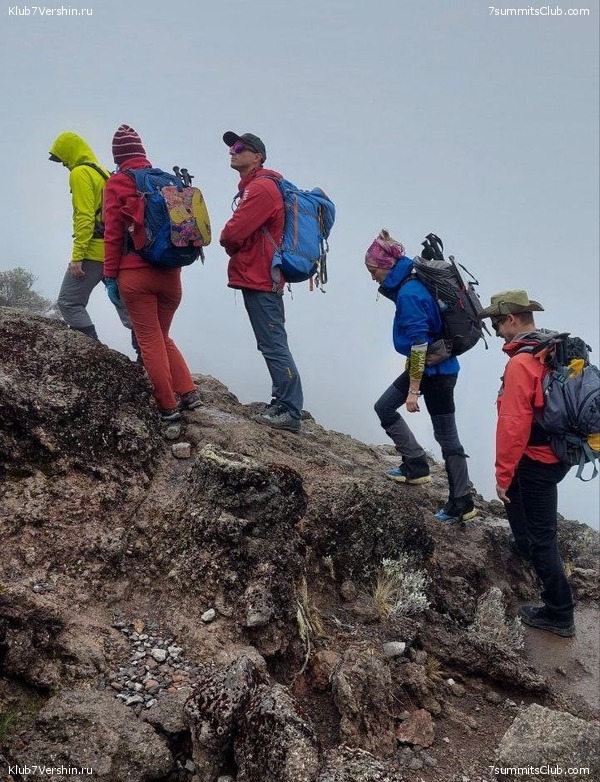 ������������ 2023. ������ �. �������, ���� 89