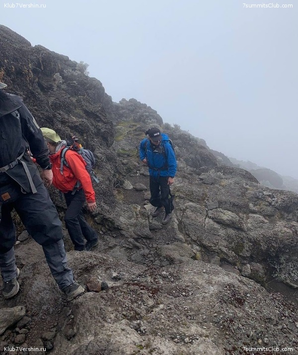 ������������ 2023. ������ �. �������, ���� 68