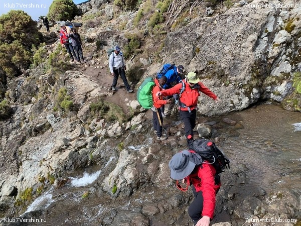 ������������ 2023. ������ �. �������, ���� 35