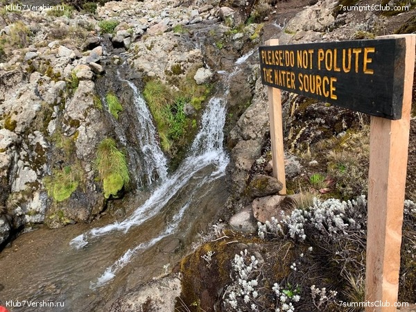 ������������ 2023. ������ �. �������, ���� 36