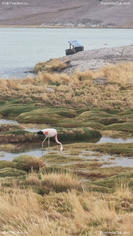 ���� ���� ������. ������ 2023. 1-� ������  ��������� �������, ���� 219