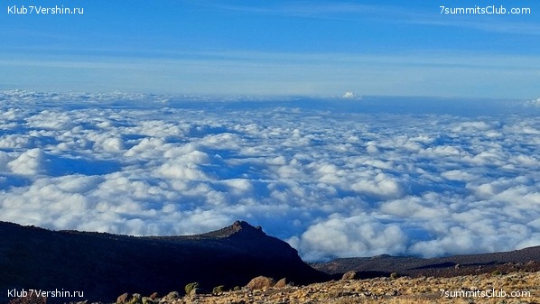 ������������ 2023. ������ �. �������, ���� 10